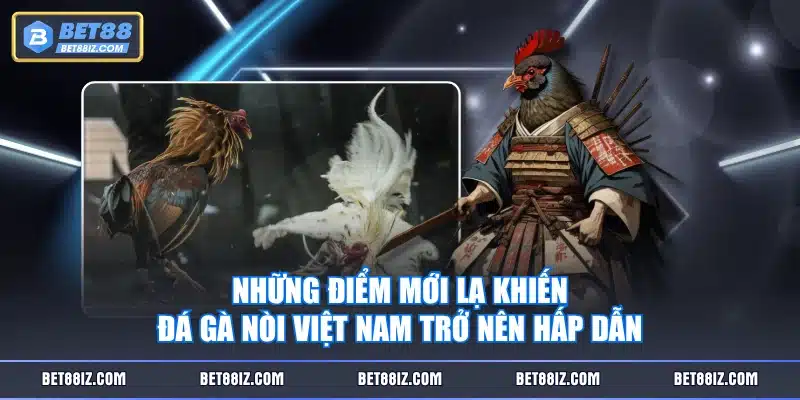 Những điểm mới lạ khiến đá gà nòi Việt Nam trở nên hấp dẫn